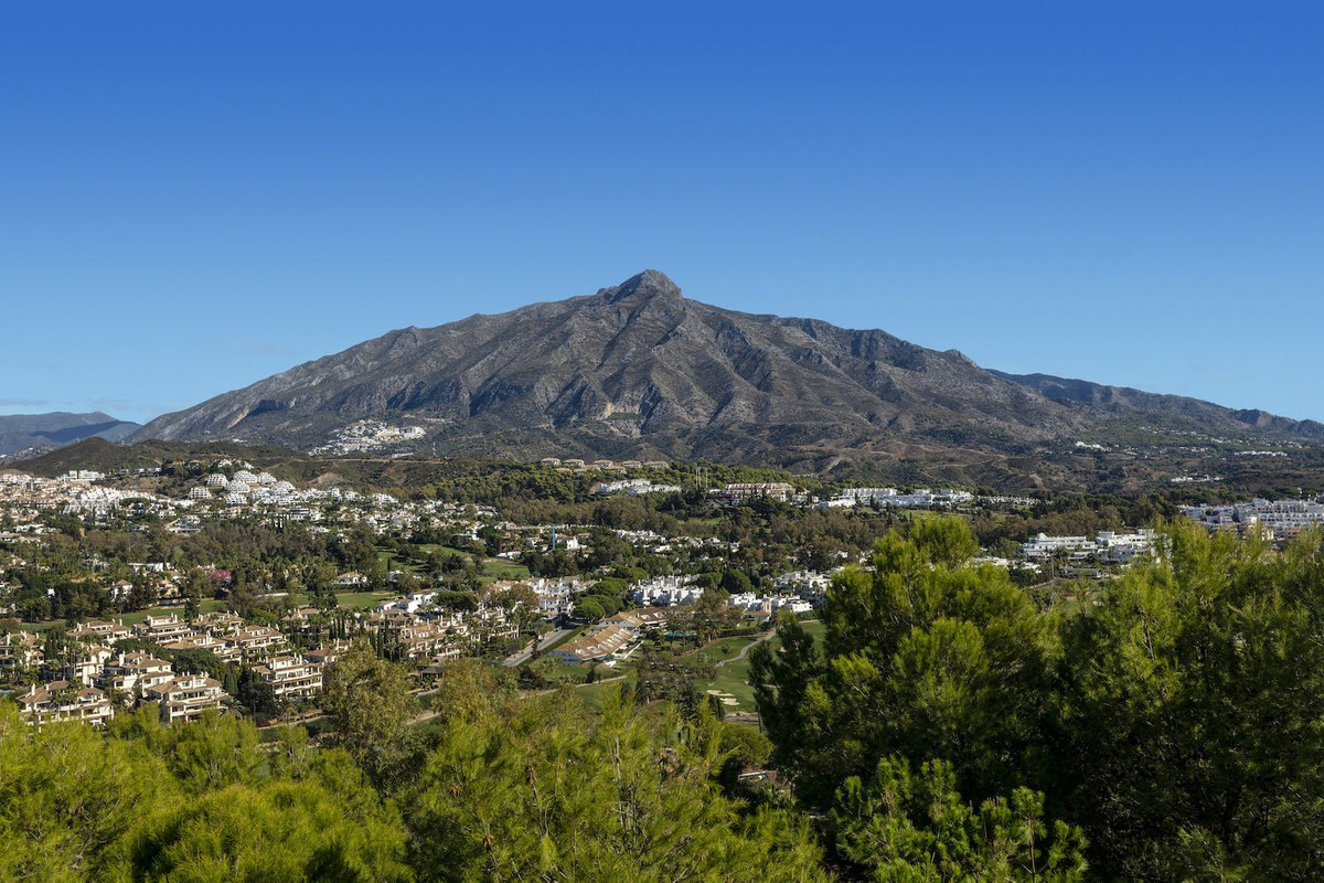 86343ef0aa60fd63a7e18440b1636860 - 2