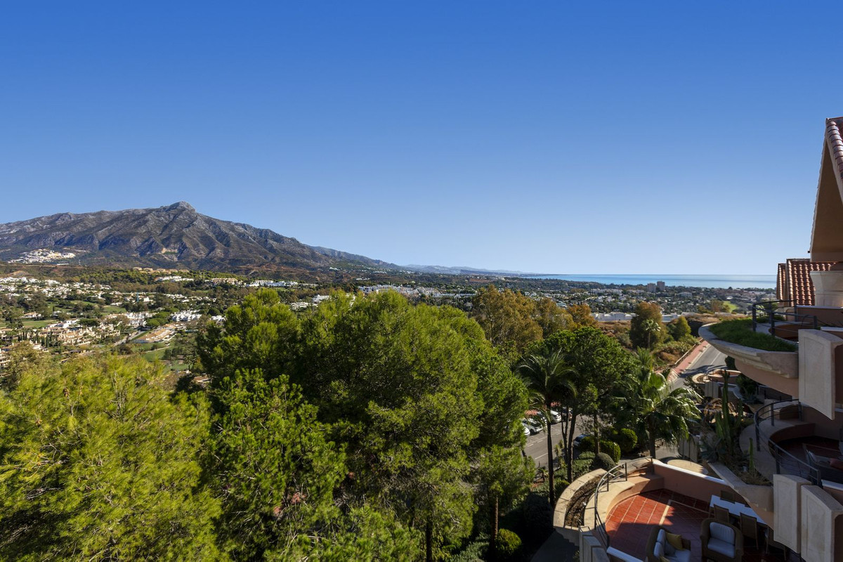 86343ef0aa60fd63a7e18440b1636860 - 22