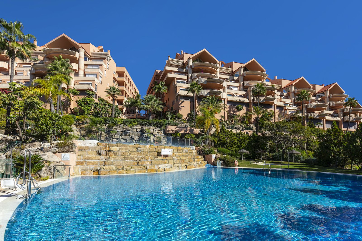 86343ef0aa60fd63a7e18440b1636860 - 24