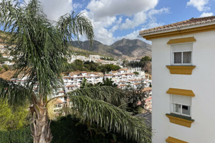 86f034c9e4b1a64e3ba51ad96fd48c61 - 24