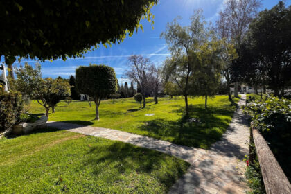 87745b6e3168f870118097ef4ba9f0a7 - 28