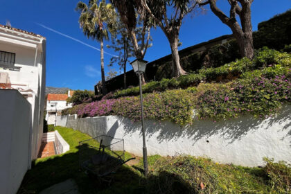 87745b6e3168f870118097ef4ba9f0a7 - 30