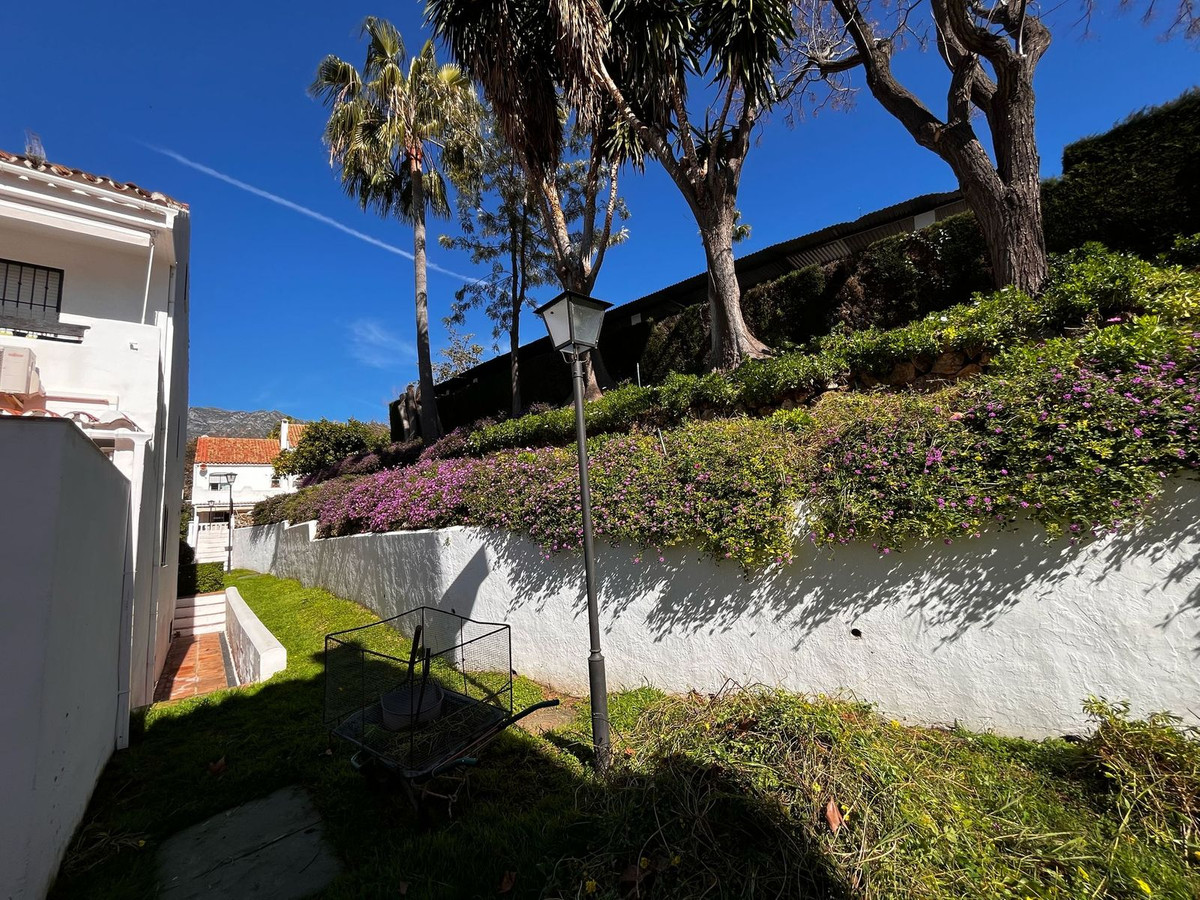 87745b6e3168f870118097ef4ba9f0a7 - 30