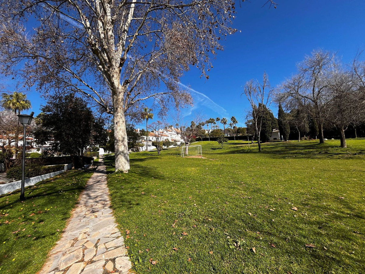 87745b6e3168f870118097ef4ba9f0a7 - 32