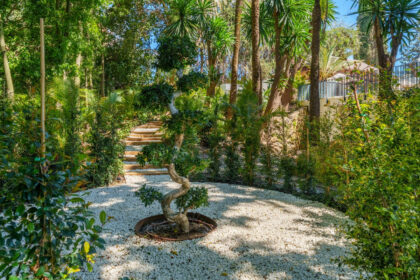 895221a3947384f6bbe7e9456ebf900f - 37