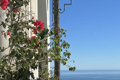 89666c10b3e3b1adf605cc65bd372a75 - 24