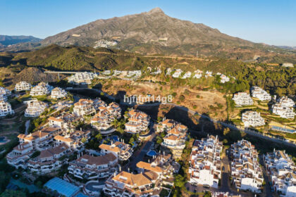 8a18f0e34b9342bc908865137b191208 - 39