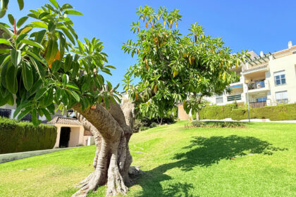 8bfc82ee092e015b57aa5d5f80b738aa - 48