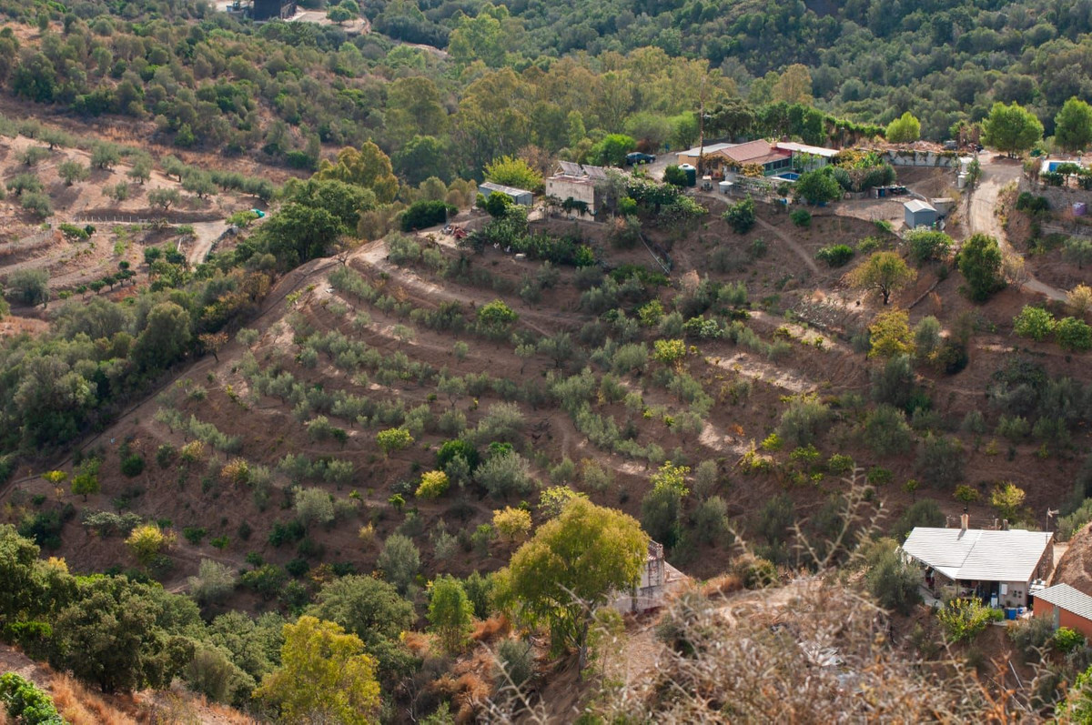 8bffdc5d1237f55450aa7514d3f1571a - 20