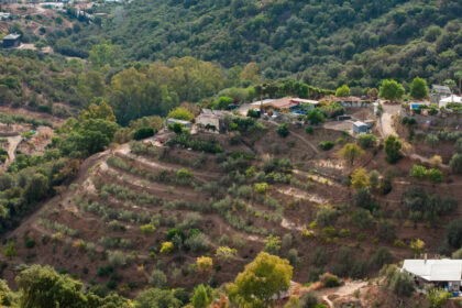 8bffdc5d1237f55450aa7514d3f1571a - 21