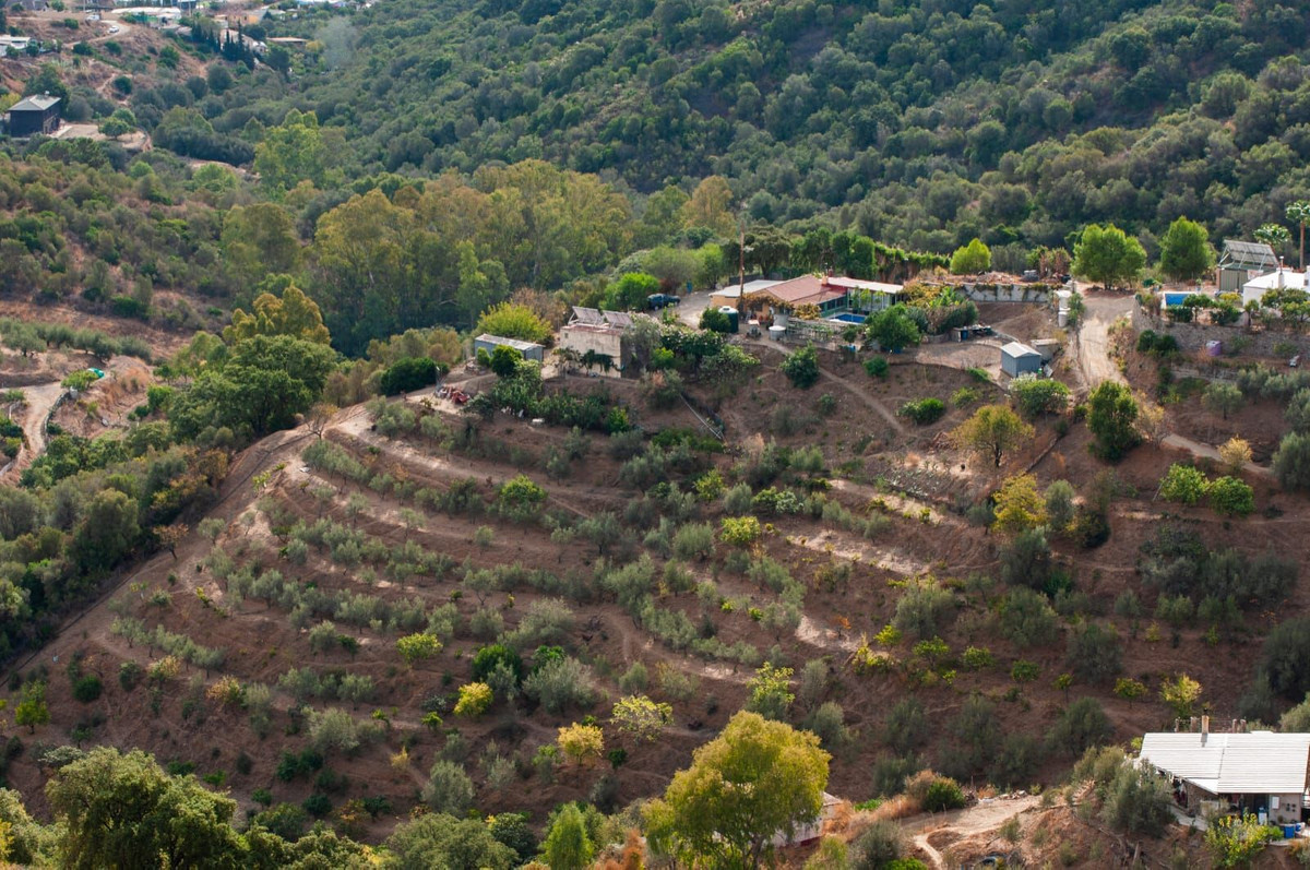 8bffdc5d1237f55450aa7514d3f1571a - 21