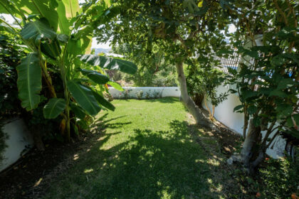 8c85808eae1602b1ebebe1650f832151 - 24