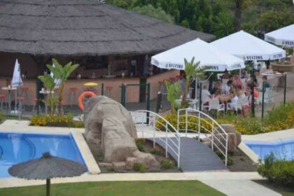 8c9701939f3b9c2b042eab23120055b7 - 33