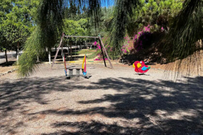 8c9701939f3b9c2b042eab23120055b7 - 45