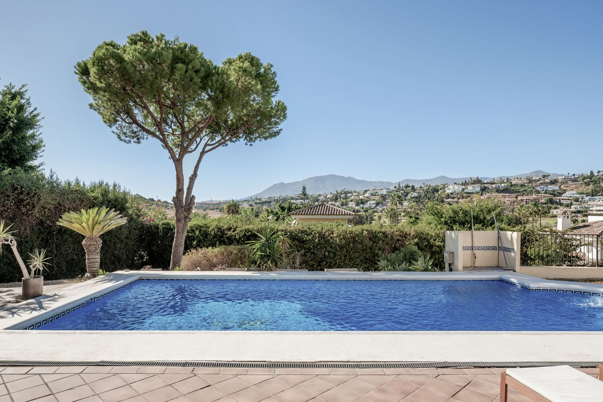 8f75b403f94814318a5cdb0fd70c104a - 20