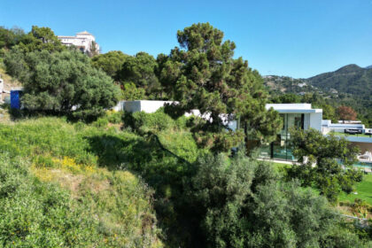 90ce0d88d5140e13c26a3e5a0b73cbcb - 12