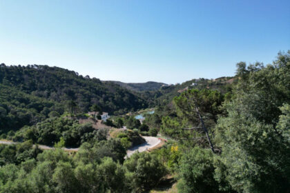 90ce0d88d5140e13c26a3e5a0b73cbcb - 3