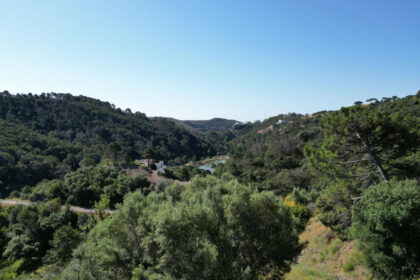 90ce0d88d5140e13c26a3e5a0b73cbcb - 5