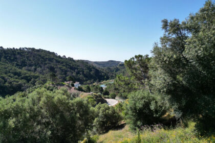 90ce0d88d5140e13c26a3e5a0b73cbcb - 6