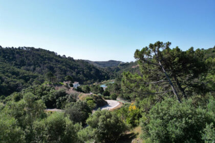 90ce0d88d5140e13c26a3e5a0b73cbcb - 7