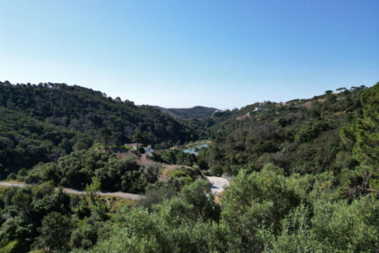 90ce0d88d5140e13c26a3e5a0b73cbcb - 8