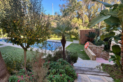 917768538649f8a1b00d94c526e7829a - 17