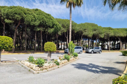 94c5c0186b12003cb2103e96f4d826e8 - 29