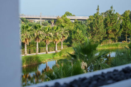 95365e5d972ec3e92b4bc60af8852602 - 17