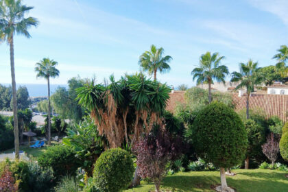 965c6f6b299e7b2291f149ca74052807 - 38