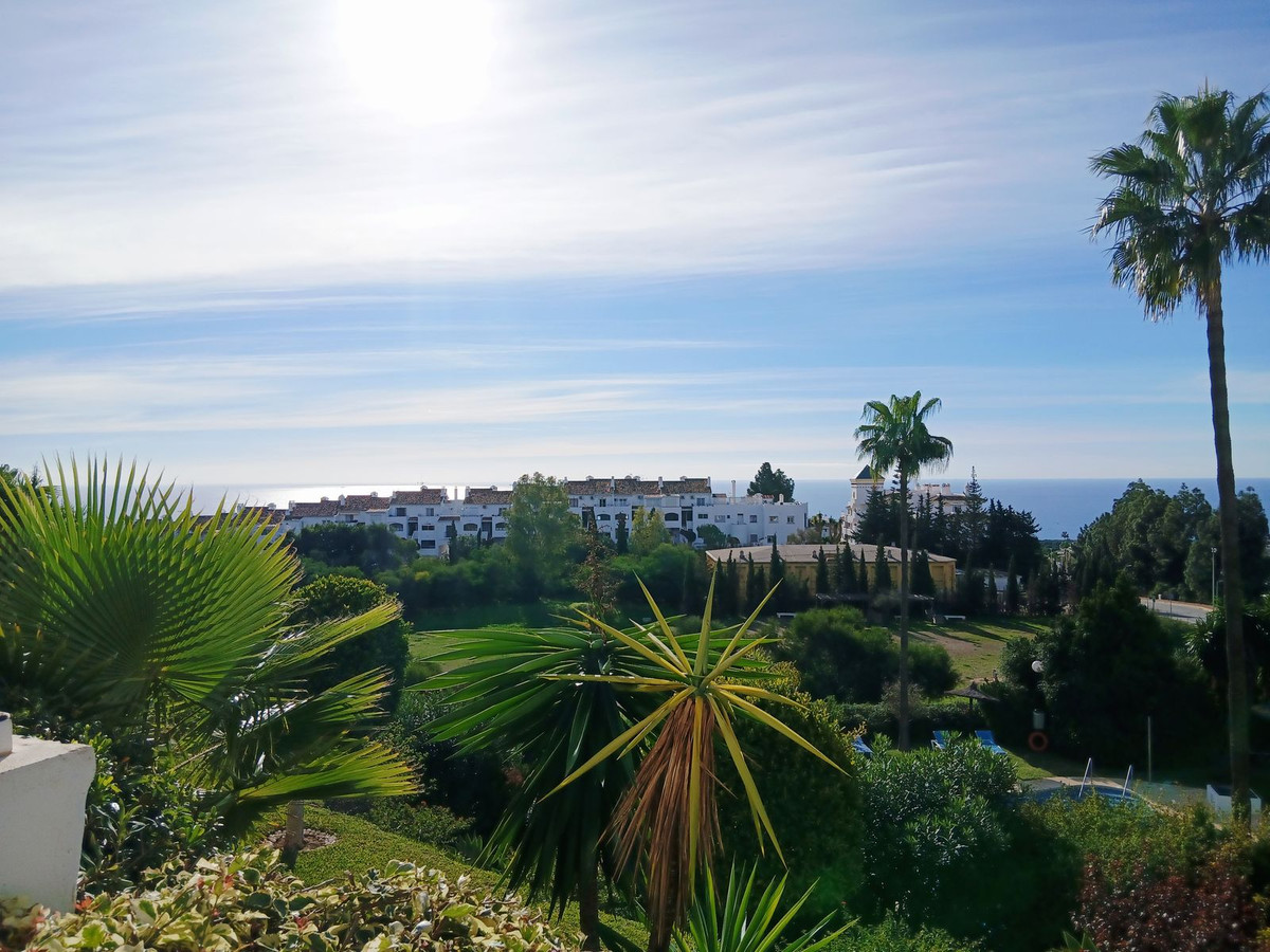 965c6f6b299e7b2291f149ca74052807 - 41