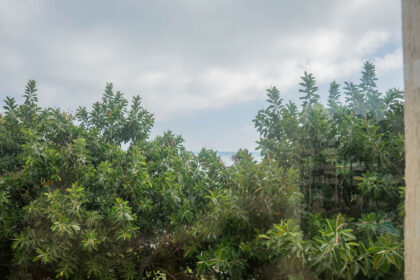 97cd58133662e72fd257170c2ad4d90a - 14