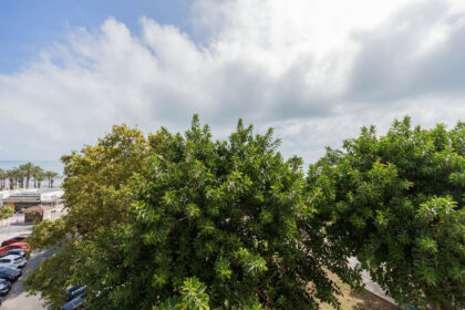 97cd58133662e72fd257170c2ad4d90a - 24