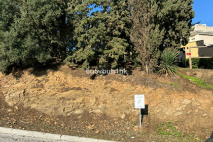 98b47d7696135640c1aab1dea71771df - 13