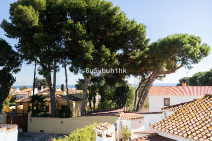 98da0c322bf80ebc808dd2e6e87a70c4 - 3