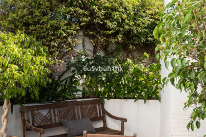 98da0c322bf80ebc808dd2e6e87a70c4 - 35