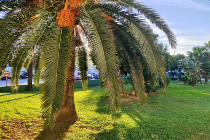 99b7060db33d9b80a080d9800e3942d0 - 48