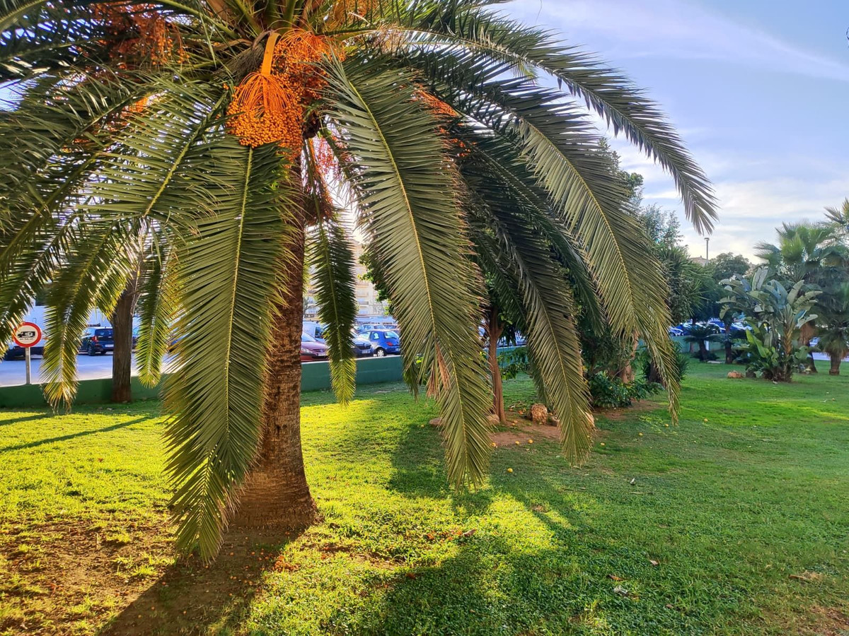 99b7060db33d9b80a080d9800e3942d0 - 48