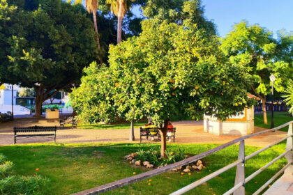 99b7060db33d9b80a080d9800e3942d0 - 49