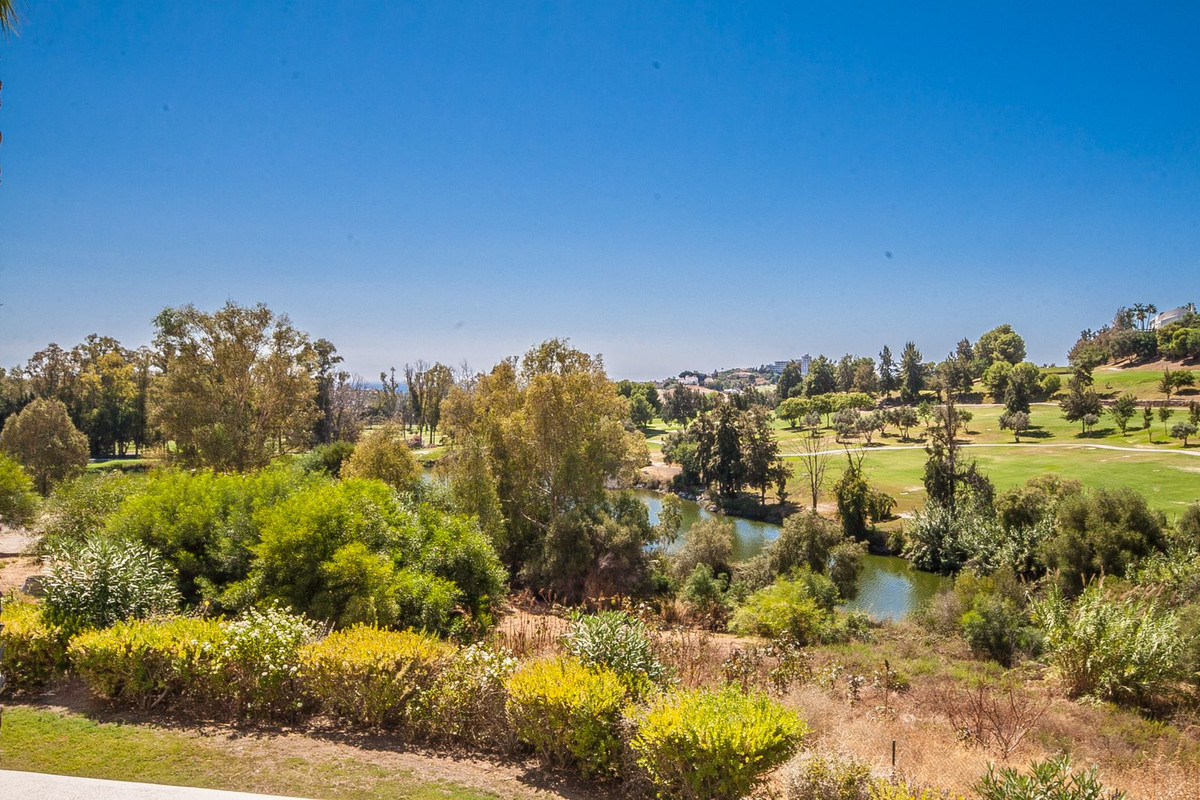 9ab20969a2f4de0ceedeff990747a402 - 12