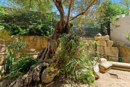 9b1510b6c83ae07038d9cafcf246685b - 25