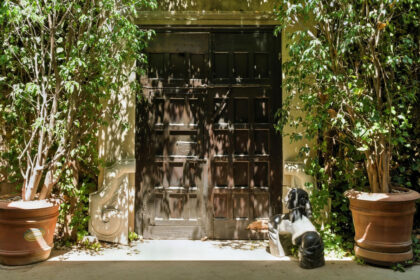 9b1510b6c83ae07038d9cafcf246685b - 31