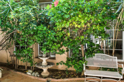 9b1510b6c83ae07038d9cafcf246685b - 37