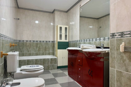 9d513eae2fb262397eadbcb019ec349b - 17