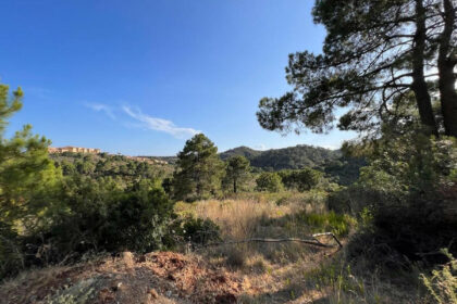 9e6d6a0c586f22a739c122a8fe080d4b - 1