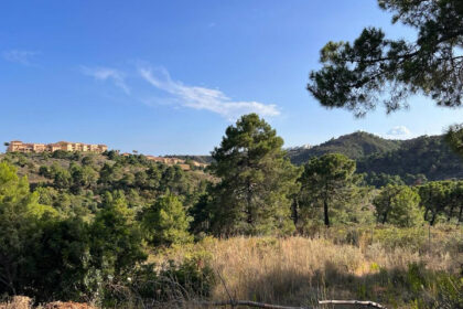 9e6d6a0c586f22a739c122a8fe080d4b - 3