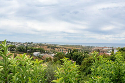 9f0e71b811500e016db10f7bed8e68fd - 42