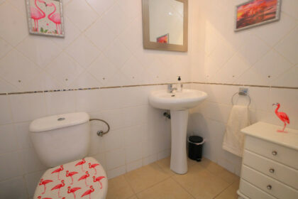 a3f5262561c64294bb1fd6924d90a166 - 22