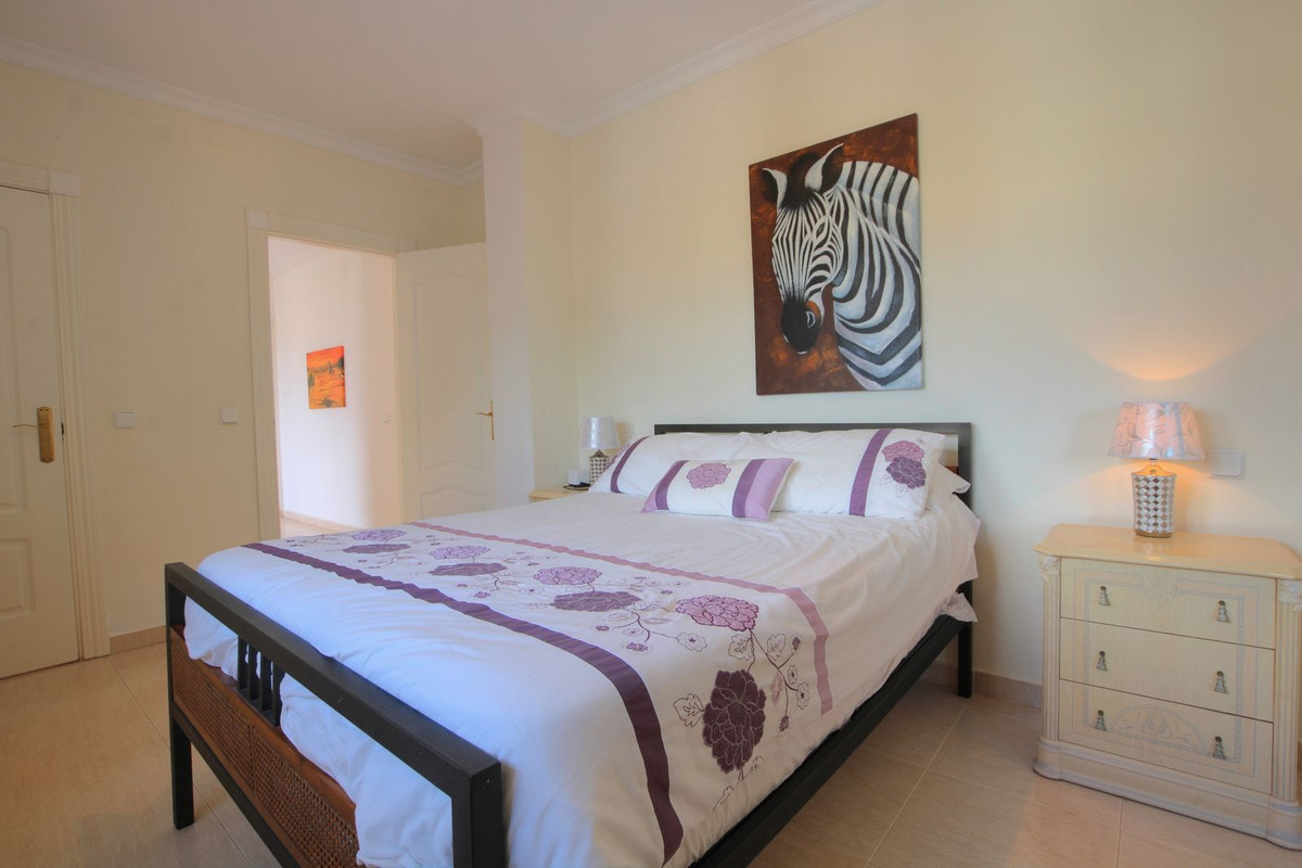 a3f5262561c64294bb1fd6924d90a166 - 29