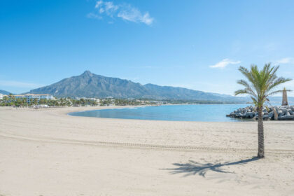 a3fb13467f612120c4e83973d580aec6 - 42