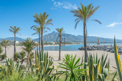 a3fb13467f612120c4e83973d580aec6 - 43